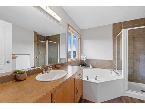 63 Brightondale Close Se, Calgary, AB - Indoor Photo Showing Bathroom