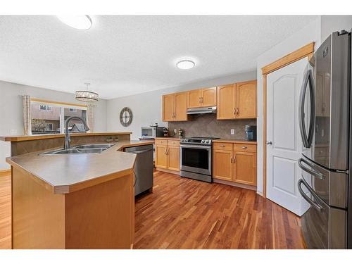 63 Brightondale Close Se, Calgary, AB - Indoor Photo Showing Kitchen With Double Sink