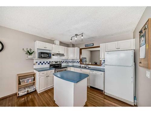 57 Harvest Oak Circle Ne, Calgary, AB - Indoor Photo Showing Kitchen With Double Sink