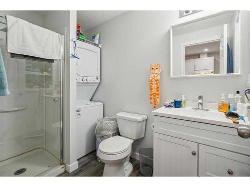 67 Coville Close Ne, Calgary, AB - Indoor Photo Showing Bathroom