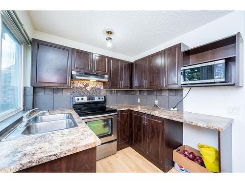 85 Martinbrook Road Ne, Calgary, AB - Indoor Photo Showing Kitchen With Double Sink