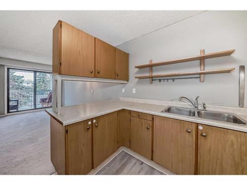 14-3015 51 Street Sw, Calgary, AB - Indoor Photo Showing Kitchen With Double Sink
