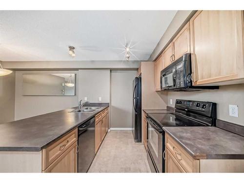 17-21 Mckenzie Towne Gate Se, Calgary, AB - Indoor Photo Showing Kitchen With Double Sink