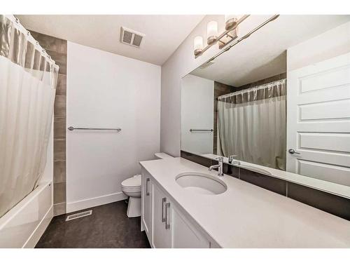 146 Homestead Park Ne, Calgary, AB - Indoor Photo Showing Bathroom