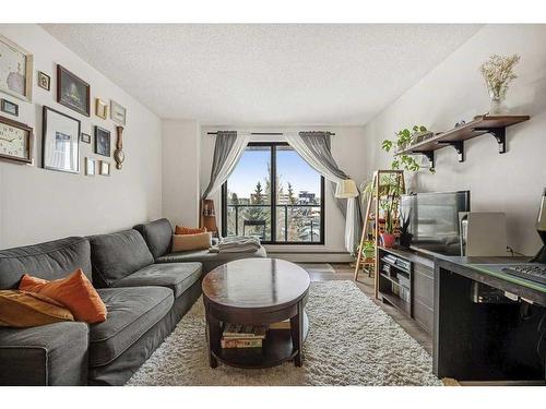 401-1900 25A Street Sw, Calgary, AB - Indoor Photo Showing Living Room