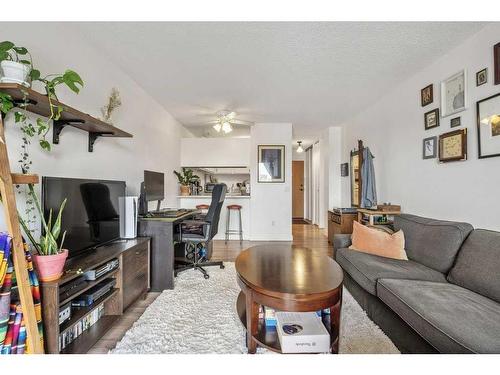 401-1900 25A Street Sw, Calgary, AB - Indoor Photo Showing Living Room