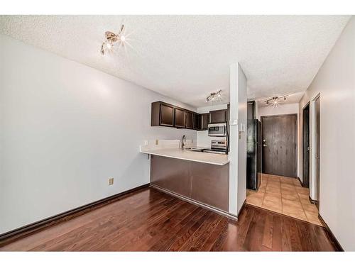 202-1613 11 Avenue Sw, Calgary, AB - Indoor Photo Showing Kitchen
