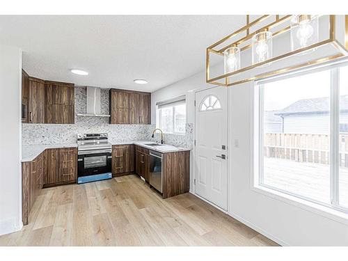133 Taravista Crescent Ne, Calgary, AB - Indoor Photo Showing Kitchen With Upgraded Kitchen