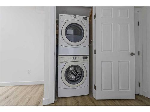 133 Taravista Crescent Ne, Calgary, AB - Indoor Photo Showing Laundry Room