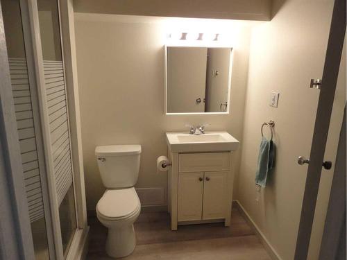31 Dovely Way Se, Calgary, AB - Indoor Photo Showing Bathroom