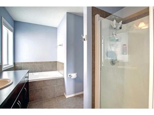 55 Skyview Shores Court Ne, Calgary, AB - Indoor Photo Showing Bathroom