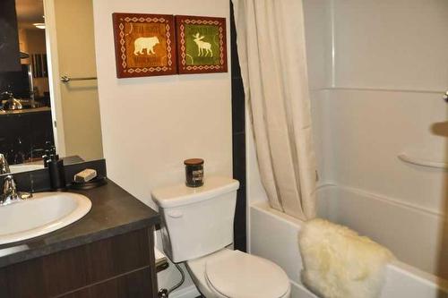 344 Banff Avenue, Banff, AB - Indoor Photo Showing Bathroom