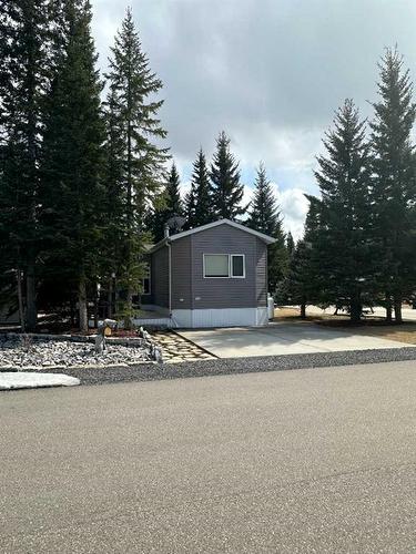 58 Coyote Creek, Rural Mountain View County, AB 