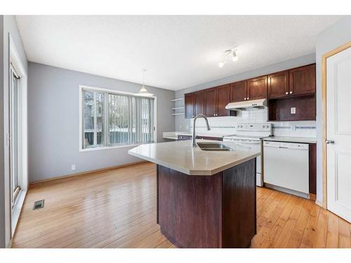 7269 California Boulevard Ne, Calgary, AB - Indoor Photo Showing Kitchen With Double Sink