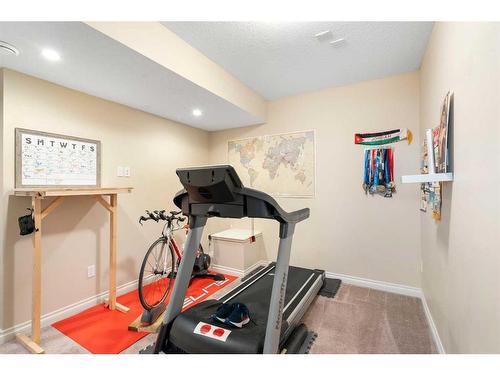 37 Cranarch Crescent Se, Calgary, AB - Indoor Photo Showing Gym Room