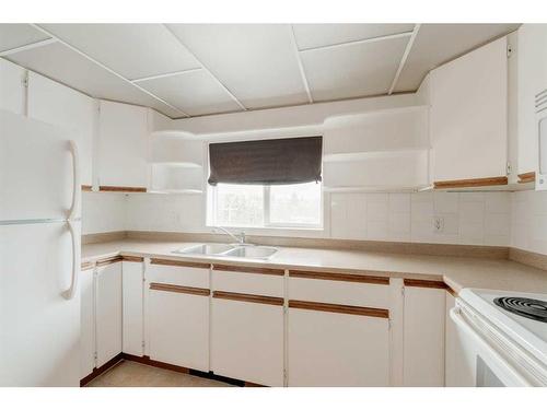 429-333 Garry Crescent Ne, Calgary, AB - Indoor Photo Showing Kitchen With Double Sink