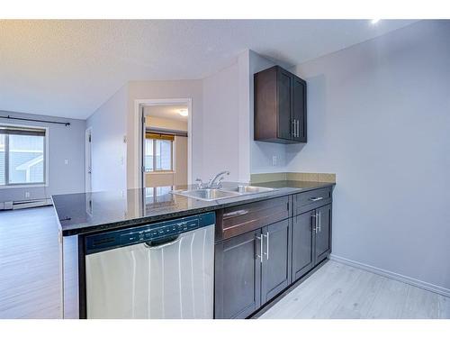 205-15 Saddlestone Way Ne, Calgary, AB - Indoor Photo Showing Kitchen With Double Sink