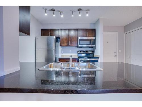 205-15 Saddlestone Way Ne, Calgary, AB - Indoor Photo Showing Kitchen With Double Sink