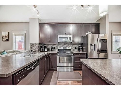 65 Skyview Springs Circle Ne, Calgary, AB - Indoor Photo Showing Kitchen With Double Sink