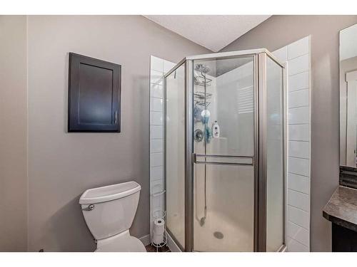 65 Skyview Springs Circle Ne, Calgary, AB - Indoor Photo Showing Bathroom