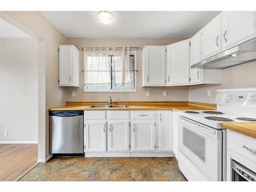 228 Beddington Circle Ne, Calgary, AB - Indoor Photo Showing Kitchen With Double Sink