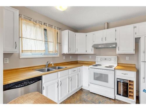 228 Beddington Circle Ne, Calgary, AB - Indoor Photo Showing Kitchen With Double Sink