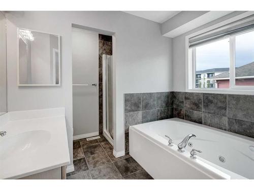 317 Bayside Place Sw, Airdrie, AB - Indoor Photo Showing Bathroom