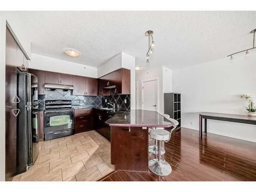 518-8880 Horton Road Sw, Calgary, AB - Indoor Photo Showing Kitchen With Double Sink
