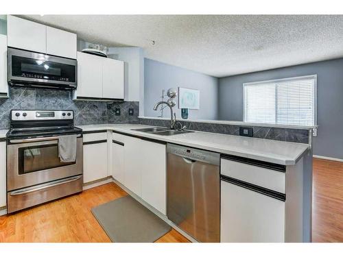 40 Martin Crossing Court Ne, Calgary, AB - Indoor Photo Showing Kitchen With Stainless Steel Kitchen With Double Sink