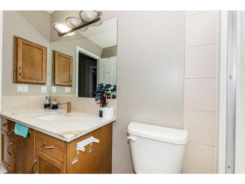 75 Saddlebrook Gardens Ne, Calgary, AB - Indoor Photo Showing Bathroom