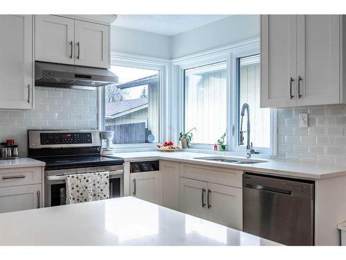 224 153 Avenue Se, Calgary, AB - Indoor Photo Showing Kitchen With Double Sink
