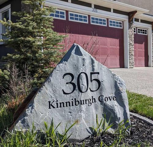 305 Kinniburgh Cove, Chestermere, AB - Outdoor