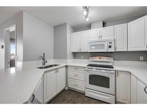 323-428 Chaparral Ravine View Se, Calgary, AB - Indoor Photo Showing Kitchen With Double Sink