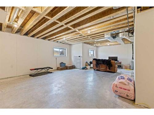 250051 Range Road 250, Rural Wheatland County, AB - Indoor Photo Showing Basement