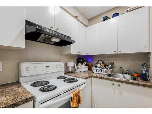 72 Martinvalley Crescent Ne, Calgary, AB - Indoor Photo Showing Kitchen With Double Sink