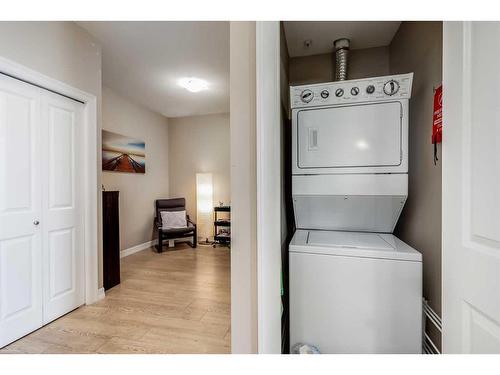 407-117 Copperpond Common Se, Calgary, AB - Indoor Photo Showing Laundry Room