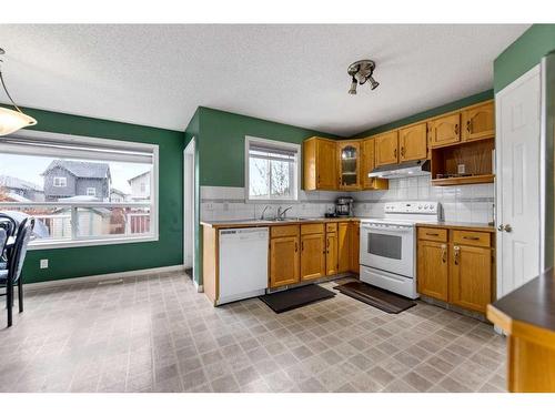 103 Saddlemead Green Ne, Calgary, AB - Indoor Photo Showing Kitchen With Double Sink