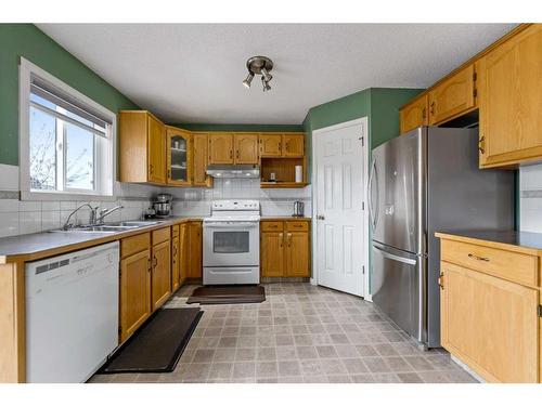 103 Saddlemead Green Ne, Calgary, AB - Indoor Photo Showing Kitchen With Double Sink