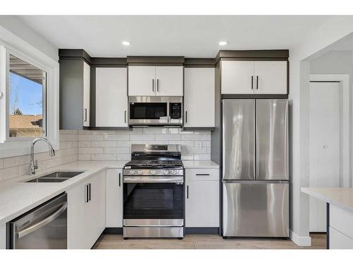 103 Abergale Place Ne, Calgary, AB - Indoor Photo Showing Kitchen With Double Sink With Upgraded Kitchen