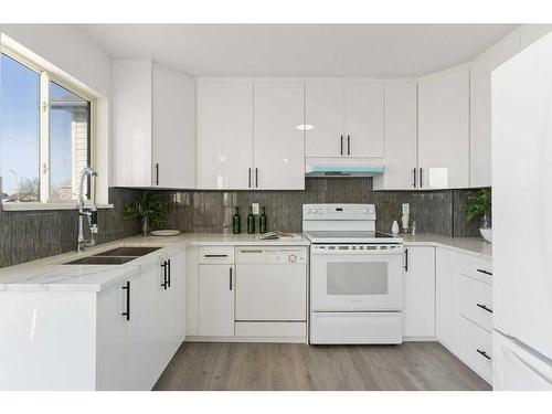 19 San Diego Place Ne, Calgary, AB - Indoor Photo Showing Kitchen With Double Sink