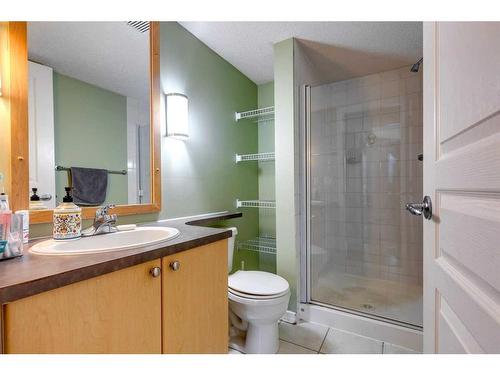 113-25 Richard Place Sw, Calgary, AB - Indoor Photo Showing Bathroom