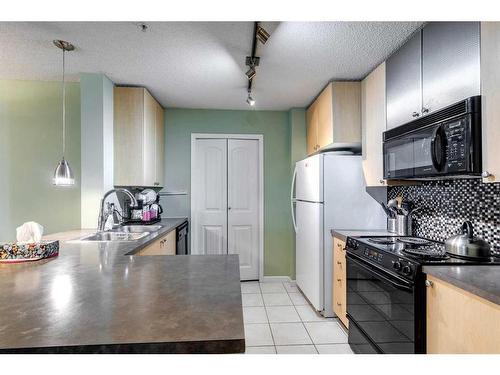 113-25 Richard Place Sw, Calgary, AB - Indoor Photo Showing Kitchen With Double Sink