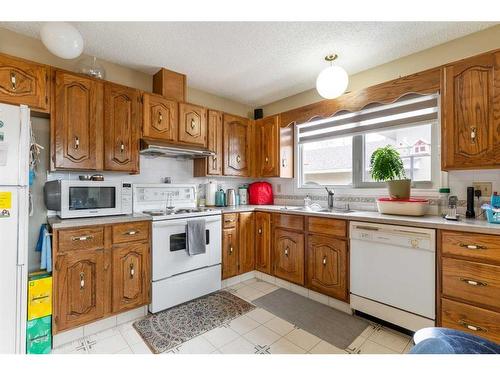28 Templeridge Close Ne, Calgary, AB - Indoor Photo Showing Kitchen With Double Sink