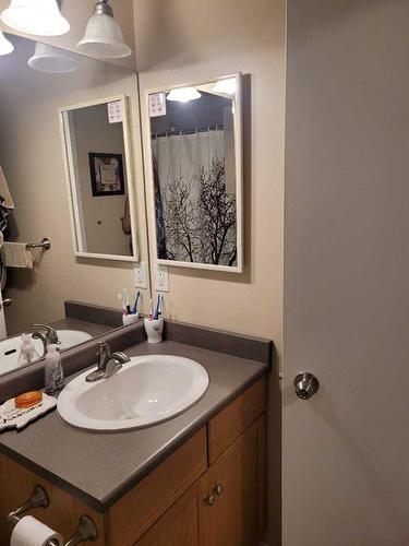 334 Mckenzie Towne Link Se, Calgary, AB - Indoor Photo Showing Bathroom