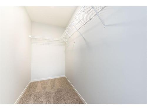 229 Chelsea Place, Chestermere, AB - Indoor With Storage