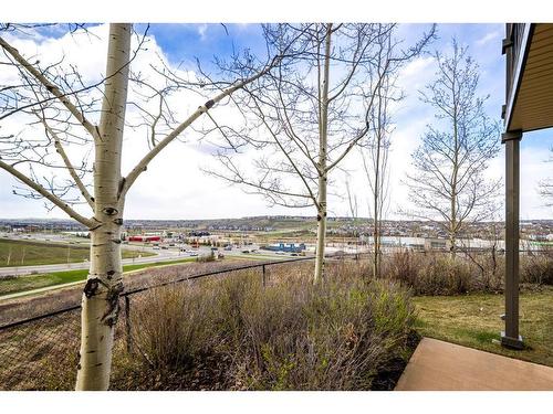 103 Kincora Heath Nw, Calgary, AB - Outdoor With View