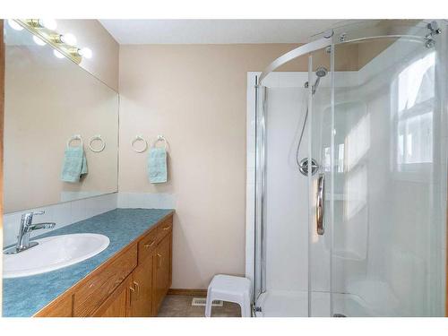 36 Saddlemead Road Ne, Calgary, AB - Indoor Photo Showing Bathroom