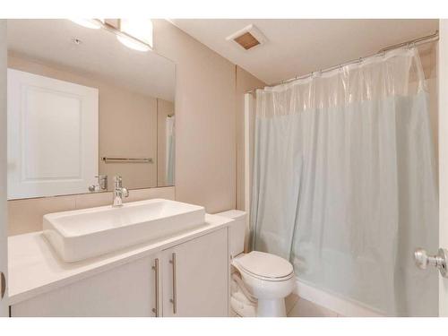 7216-302 Skyview Ranch Drive Ne, Calgary, AB - Indoor Photo Showing Bathroom