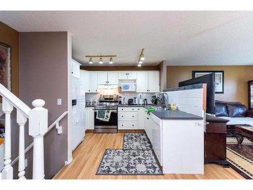 137 Tarington Court Ne, Calgary, AB - Indoor Photo Showing Kitchen With Double Sink