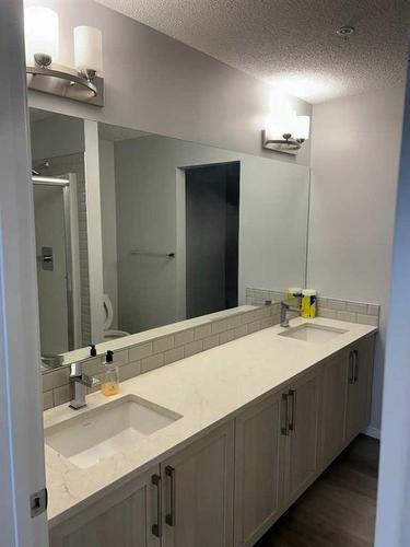 101-40 Carrington Plaza Nw, Calgary, AB - Indoor Photo Showing Bathroom